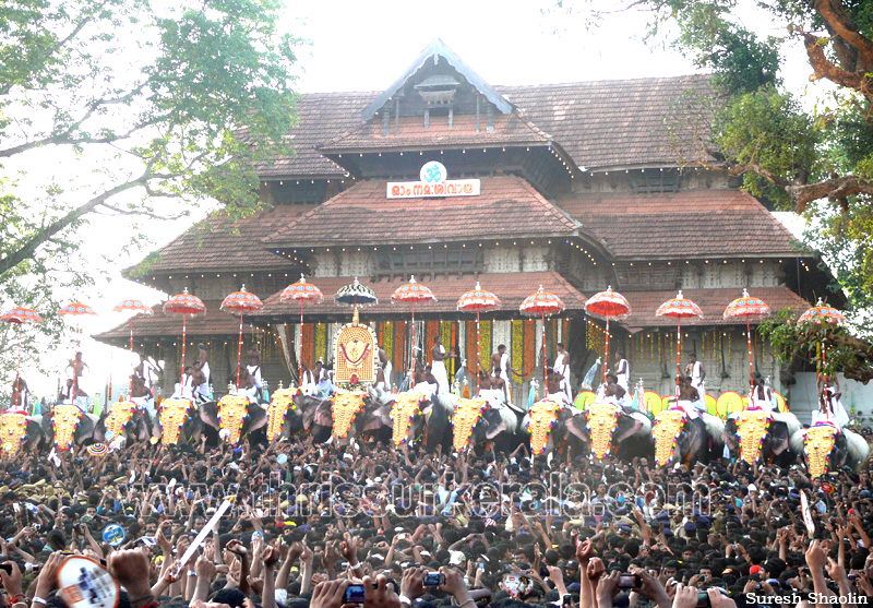 thrissur-pooram-2011- (76)